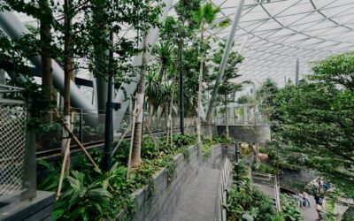 The Role of Biophilic Design in Sustainable Architecture: Archiplex Group’s Vision for Healthier, Greener Spaces