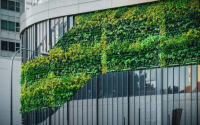 Net Zero Building Design: Creating a Sustainable Future with Archiplex Group’s Expertise