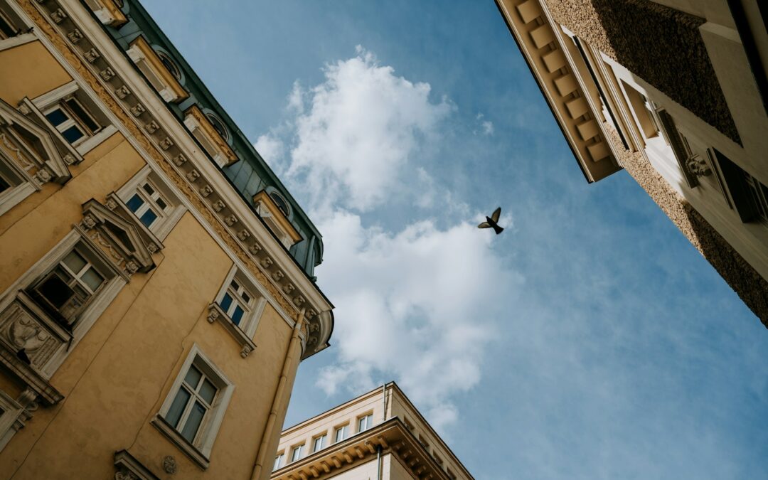 Adaptive Reuse: Breathing New Life into Old Buildings with Innovative Strategies